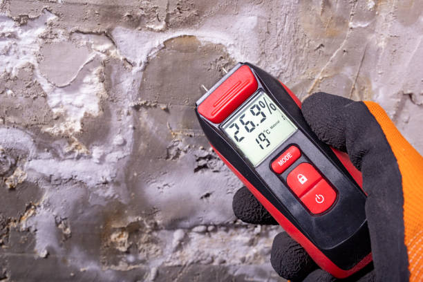 Best Mold Testing and Inspection Services in Roosevelt Gardens, FL